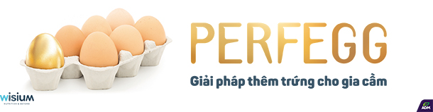 Perfegg góp phần gia tăng lợi nhuận của các nhà sản xuất trứng Perfegg góp phần gia tăng lợi nhuận của các nhà sản xuất trứng