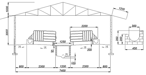Mặt cắt chuồng heo nái mang thai Mặt cắt chuồng heo nái mang thai
