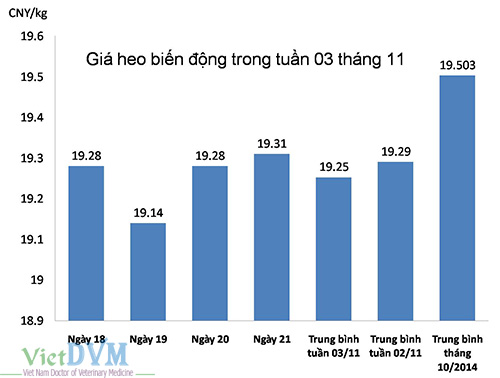 gia-thit-heo-tuan-03-11-14