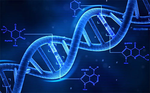 Phương pháp multiplex RT-PCR trong chẩn đoán điều trị bệnh tai xanh trên heo Phương pháp multiplex RT-PCR trong chẩn đoán điều trị bệnh tai xanh trên heo