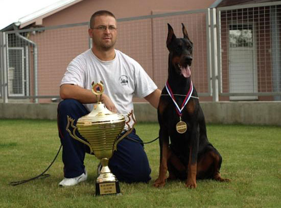 Doberman người bạn thân thiết với cảnh sát Doberman người bạn thân thiết với cảnh sát