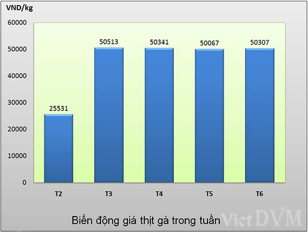 thit ga tuan 20 2015