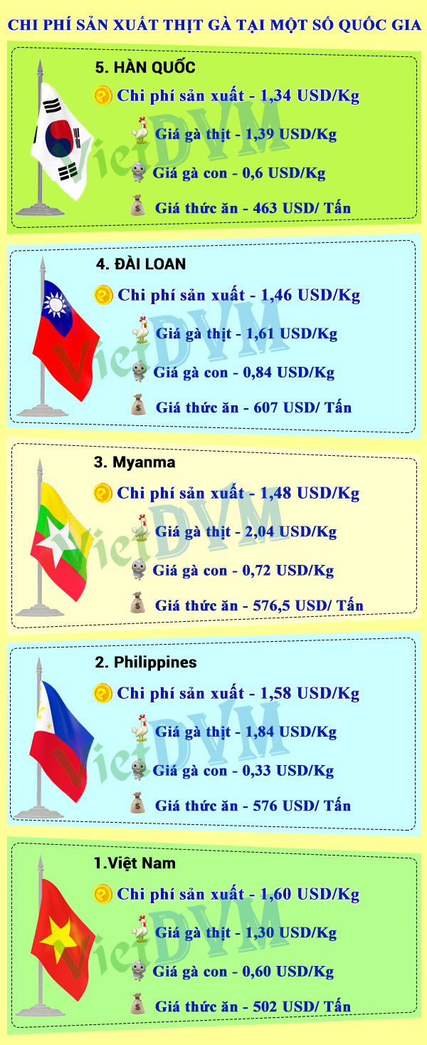 chi phi san xuat ga thit
