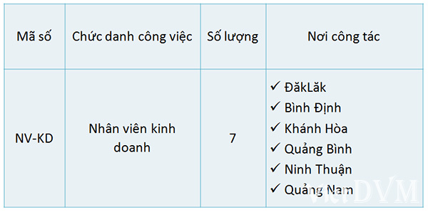 Công ty Khatoco tuyển dụng nhân viên kinh doanh Công ty Khatoco tuyển dụng nhân viên kinh doanh