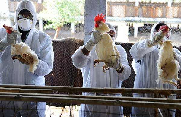 Cần nâng cao nhận thức về kiểm dịch động vật cho doanh nghiệp Kiểm dịch động vật ở Mỹ cần nâng cao nhận thức về kiểm dịch động vật cho doanh nghiệp