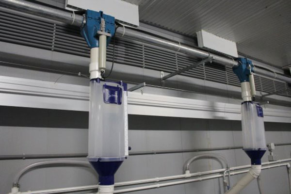 Một sự khác lạ trong thiết kế: chuồng heo nái đẻ được gắn máng ăn tự động có kết nối với máy tính Một sự khác lạ trong thiết kế: chuồng heo nái đẻ được gắn máng ăn tự động có kết nối với máy tính