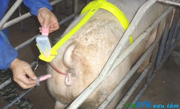 Một sản phẩm thương mại ứng dụng từ mẹo trên Một sản phẩm thương mại ứng dụng từ mẹo trên