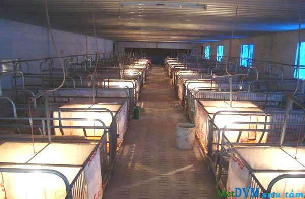 cửa sổ được lắp kính màu xanh rất dịu mắt cửa sổ được lắp kính màu xanh rất dịu mắt