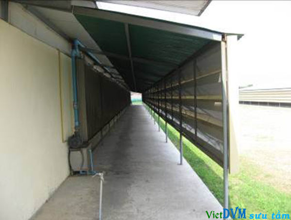 Dàn mát có lưới chắn Dàn mát có lưới chắn