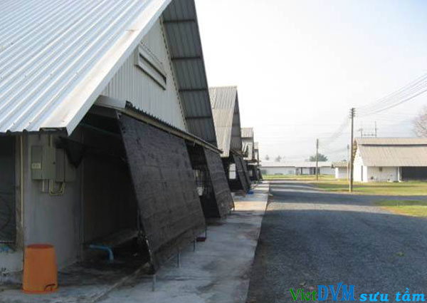 Dàn mát có lưới chắn nhìn từ xa Dàn mát có lưới chắn nhìn từ xa