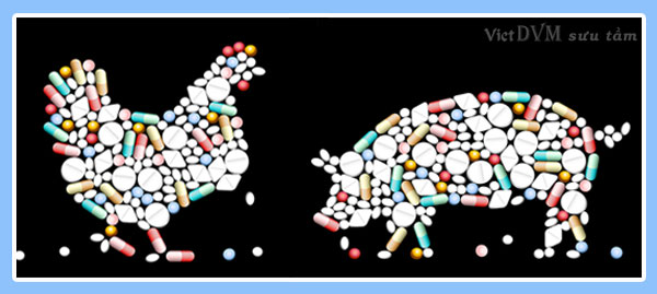 tạm ngừng nhập khẩu kháng sinh Enrofloxacin Kháng sinh Enrofloxacin đã bị tạm ngừng nhập khẩu từ 15/04/2016
