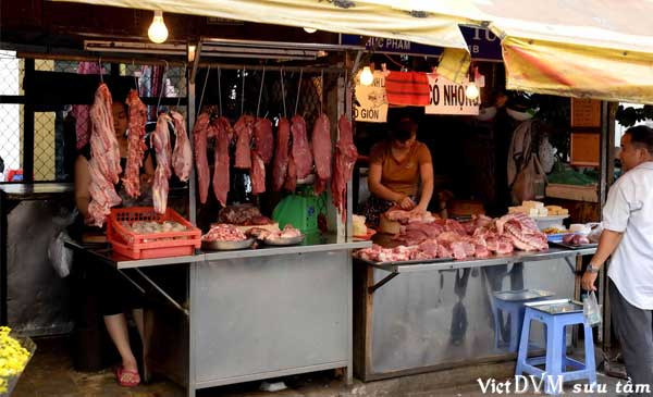 Người tiêu dùng đang phải mua thịt heo trong nước giá cao Người tiêu dùng đang phải mua thịt heo trong nước giá cao