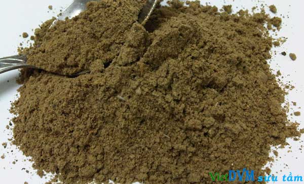 Chăn nuôi gà đẻ trứng cần lưu ý khi bổ sung bột cá hay dầu cá vào khẩu phần thức ăn Chăn nuôi gà đẻ trứng cần lưu ý khi bổ sung bột cá hay dầu cá vào khẩu phần thức ăn