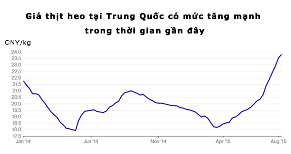 Biểu đồ biến động giá heo Trung Quốc 2 năm trở lại đây Biểu đồ biến động giá heo Trung Quốc 2 năm trở lại đây
