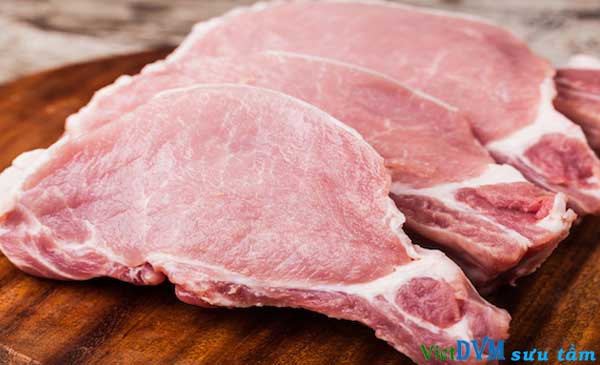 Nuôi heo không cần kháng sinh sẽ được thực hiện trong thời gian không xa Nuôi heo không cần kháng sinh sẽ được thực hiện trong thời gian không xa