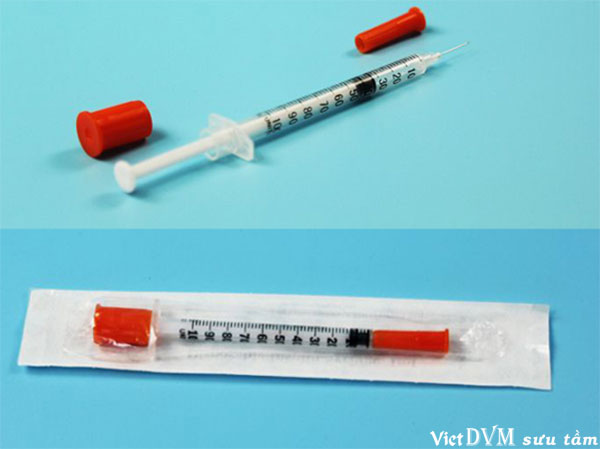 Ống tiêm insulin dùng 1 lần Ống tiêm insulin dùng 1 lần