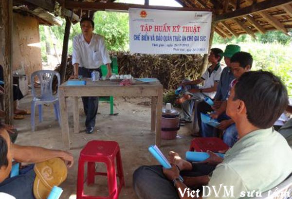 Ảnh: Một cuộc tập huấn nông dân làm thức ăn chăn nuôi ở thôn Bảo Vinh, xã Phước Vinh, huyện Ninh Phước, Ninh Thuận. Ảnh: Một cuộc tập huấn nông dân làm thức ăn chăn nuôi ở thôn Bảo Vinh, xã Phước Vinh, huyện Ninh Phước, Ninh Thuận.