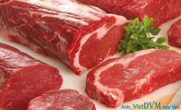 Cảnh báo về tình trạng lừa đảo xuất khẩu thịt từ Brazil Cảnh báo về tình trạng lừa đảo xuất khẩu thịt từ Brazil