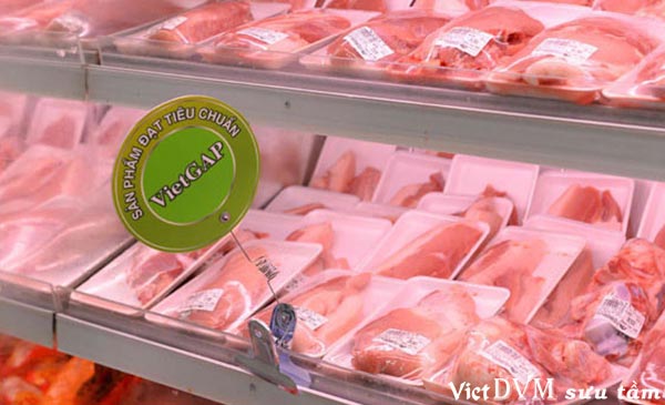 Thịt heo đạt tiêu chuẩn VietGap Thịt heo đạt tiêu chuẩn VietGap