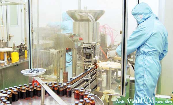 Sản xuất thuốc thú y tại Công ty CP Dược và vật tư thú y Hanvet. Sản xuất thuốc thú y tại Công ty CP Dược và vật tư thú y Hanvet.
