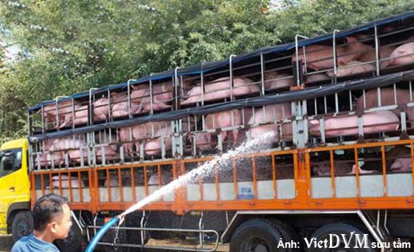 Ảnh minh họa bài báo Ảnh minh họa bài báo