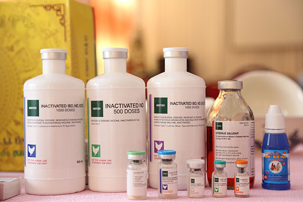 Một số loại vaccine phổ biến trên thị trường do Mebipha cung cấp Một số loại vaccine phổ biến trên thị trường do Mebipha cung cấp