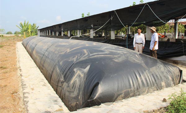 Nhiều trang trại chăn nuôi ở Việt Nam đang đứng trước thách thức lớn về môi trường Nhiều trang trại chăn nuôi ở Việt Nam đang đứng trước thách thức lớn về môi trường