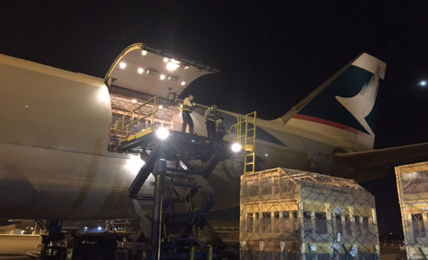 Lô heo giống thuần chủng Vissan nhập từ Mỹ xuống sân bay Tân Sơn Nhất lúc 2 giờ sáng ngày 15-9 Lô heo giống thuần chủng Vissan nhập từ Mỹ xuống sân bay Tân Sơn Nhất lúc 2 giờ sáng ngày 15-9