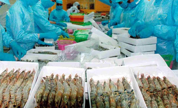 Ngành thủy sản đang gánh nhiều hệ lụy, do việc sai phạm tràn lan trong vấn đề buôn bán, sử dụng kháng sinh. Ngành thủy sản đang gánh nhiều hệ lụy, do việc sai phạm tràn lan trong vấn đề buôn bán, sử dụng kháng sinh.