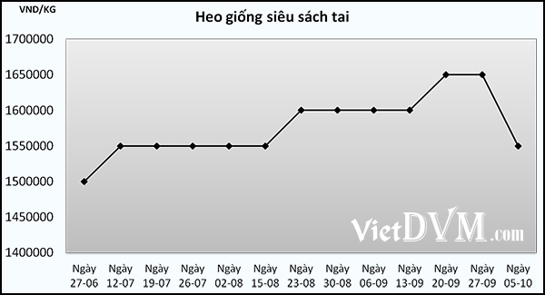 Biểu đồ cập nhật biến động giá heo siêu sách tai tại Vũ Quang - Hà Tĩnh Biểu đồ cập nhật biến động giá heo siêu sách tai tại Vũ Quang - Hà Tĩnh