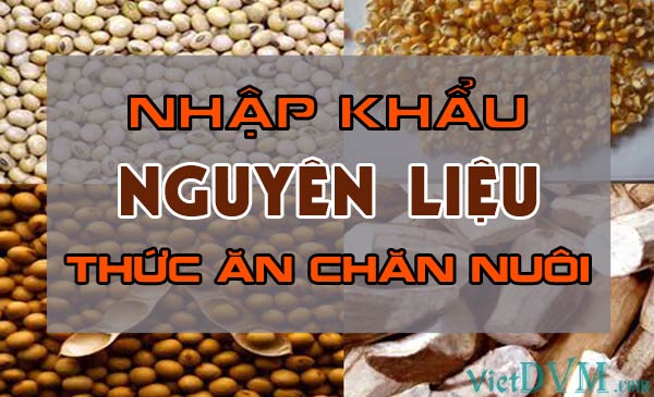 Nhập khẩu nguyên liệu thức ăn chăn nuôi Nhập khẩu nguyên liệu thức ăn chăn nuôi