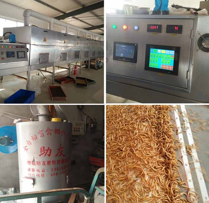Mô hình một nhà máy sản xuất côn trùng làm thức ăn cho vật nuôi Mô hình một nhà máy sản xuất côn trùng làm thức ăn cho vật nuôi
