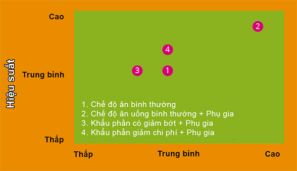 Biểu đồ 2: cách để tối ưu hóa chi phí và tăng khả năng chuyển hóa thức ăn Biểu đồ 2: cách để tối ưu hóa chi phí và tăng khả năng chuyển hóa thức ăn
