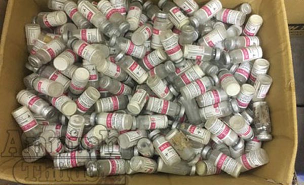 Đều được đóng gói bằng thùng carton Đều được đóng gói bằng thùng carton