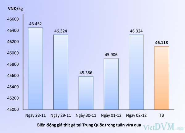 Giá gà mổ sẵn tại Trung Quốc trong tuần 49-2016 Giá gà mổ sẵn tại Trung Quốc trong tuần 49-2016