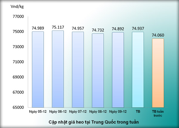 Giá thịt heo biến động trong tuần 50 năm 2016 Giá thịt heo biến động trong tuần 50 năm 2016