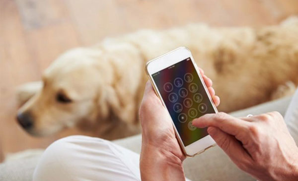 PetGP nhắm nhiều vào các chủ vật nuôi không có bảo hiểm cho thứ cưng và cung cấp dịch vụ tư vấn thông qua điện thoại từ các chuyên gia có trình độ chuyên môn cao PetGP nhắm nhiều vào các chủ vật nuôi không có bảo hiểm cho thứ cưng và cung cấp dịch vụ tư vấn thông qua điện thoại từ các chuyên gia có trình độ chuyên môn cao