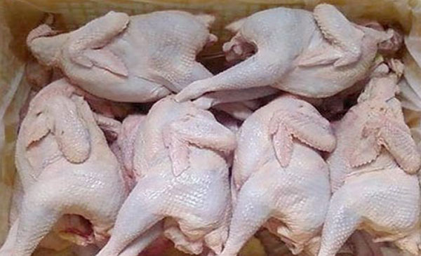 Giá gà tăng nhanh do tạm ngừng nhập từ Mỹ Giá gà tăng nhanh do tạm ngừng nhập từ Mỹ
