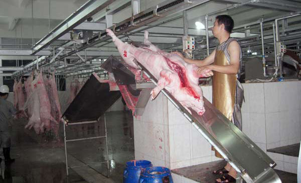Doanh nghiệp Trung Quốc đặt vấn đề nhập khẩu thịt heo Việt Nam Doanh nghiệp Trung Quốc đặt vấn đề nhập khẩu thịt heo Việt Nam