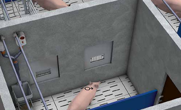 Chuồng heo đực được bố trí gần khu vực heo nái. Chuồng heo đực được bố trí gần khu vực heo nái.