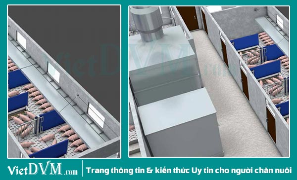 Chuồng heo thịt. Chuồng heo thịt.