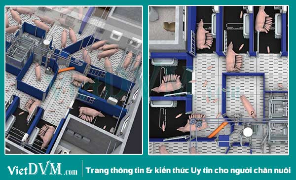 Góc nhìn trại từ trên xuống Góc nhìn trại từ trên xuống