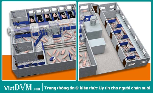 Góc nhìn trại từ trên xuống Góc nhìn trại từ trên xuống
