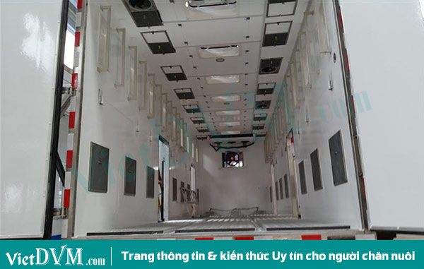 Khử trùng xe vận chuyển trước khi chuyển gà lên. Khử trùng xe vận chuyển trước khi chuyển gà lên.