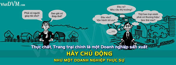 Muốn chăn nuôi bền vững, trước hết hãy thay đổi tư duy của bạn! chan nuoi viet nam 2