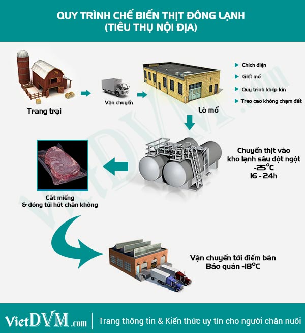 Quy trình chế biến thịt đông lạnh tiêu thụ nội địa thit dong lanh noi diai