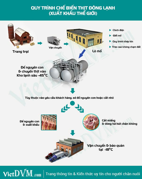 Quy trình chế biến thịt đông lạnh xuất khẩu thế giơi thit dong lanh xuat khau the gioi
