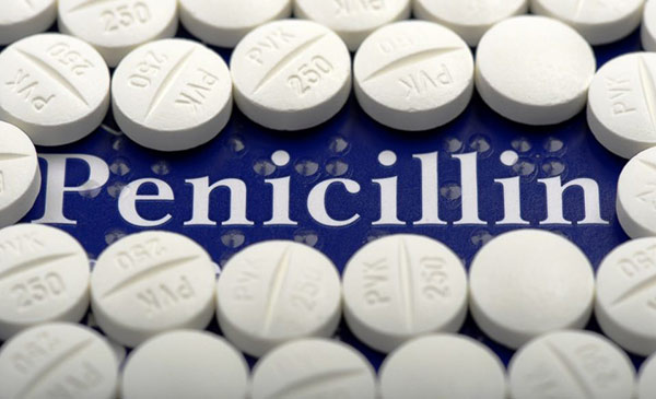 Penicillin là thuốc có tác dụng tiêu diệt Listeria tốt nhất cho đến hiện nay. Penicillin là thuốc có tác dụng tiêu diệt Listeria tốt nhất cho đến hiện nay.