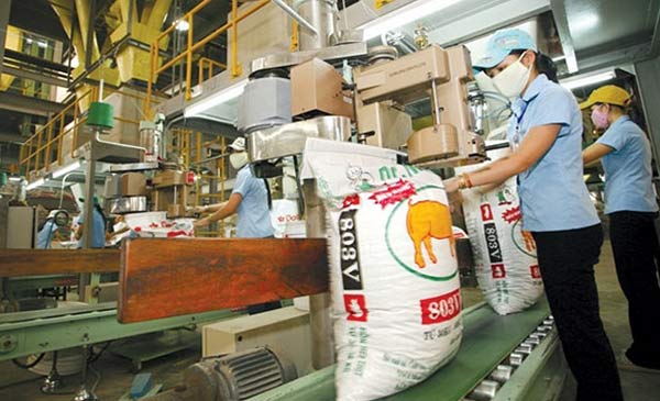 DN sản xuất thức ăn chăn nuôi dù chịu tổn thất không nhỏ nhưng vẫn có mức lãi gộp khá cao DN sản xuất thức ăn chăn nuôi dù chịu tổn thất không nhỏ nhưng vẫn có mức lãi gộp khá cao