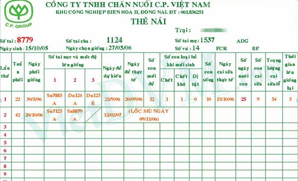 Thẻ heo nái thường dùng trong trại. Thẻ heo nái thường dùng trong trại.